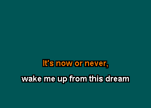 It's now or never,

wake me up from this dream