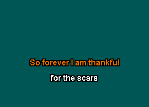 So forever I am thankful

for the scars