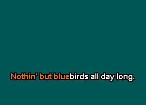 Nothin' but bluebirds all day long.