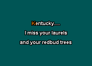 Kentucky .....

I miss your laurels

and your redbud trees