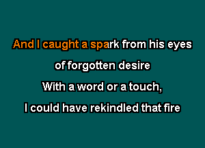And I caught a spark from his eyes

offorgotten desire
With a word or a touch,

I could have rekindled that fire