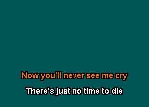 Now you'll never see me cry

There's just no time to die