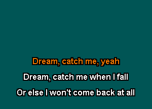 Dream, catch me, yeah

Dream, catch me when I fall

Or else I won't come back at all