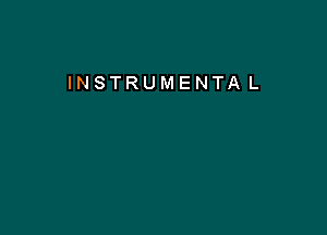 INSTRUMENTA L