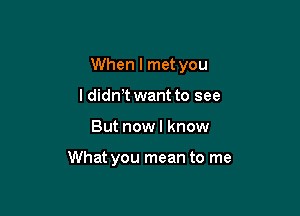 When I met you
ldidnT want to see

But now I know

What you mean to me