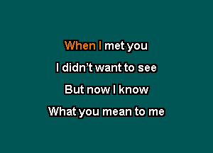 When I met you
ldidnT want to see

But now I know

What you mean to me