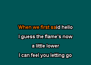 When we first said hello
I guess the flame's now

a little lower

I can feel you letting go
