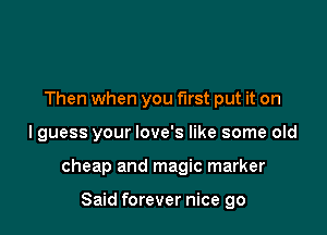 Then when you first put it on

I guess your love's like some old

cheap and magic marker

Said forever nice go