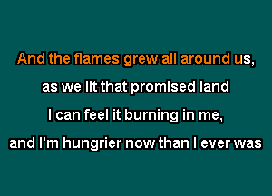 And the flames grew all around us,
as we lit that promised land
I can feel it burning in me,

and I'm hungrier now than I ever was