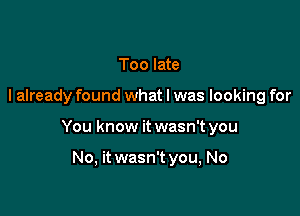 Too late

I already found what I was looking for

You know it wasn't you

No, it wasn't you, No