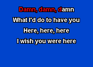 Damn, damn, damn
What I'd do to have you
Here, here, here

lwish you were here