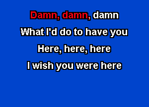 Damn, damn, damn
What I'd do to have you
Here, here, here

lwish you were here