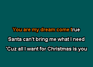 You are my dream come true

Santa can't bring me what I need

'Cuz all I want for Christmas is you