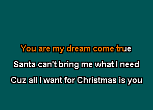 You are my dream come true

Santa can't bring me what I need

Cuz all I want for Christmas is you