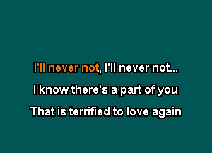 I'll never not, I'll never not...

I know there's a part ofyou

That is terrified to love again