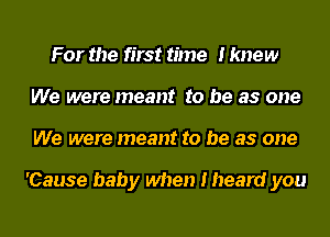 For the first time I knew
We were meant to be as one
We were meant to be as one

'Cause baby when I heard you