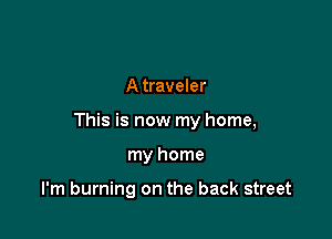 A traveler

This is now my home,

my home

I'm burning on the back street