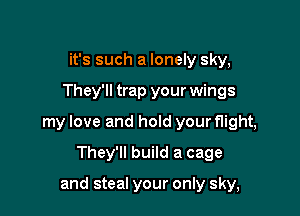 it's such a lonely sky,

They'll trap your wings

my love and hold your flight,

They'll build a cage

and steal your only sky,