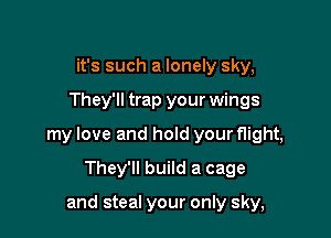 it's such a lonely sky,

They'll trap your wings

my love and hold your flight,

They'll build a cage

and steal your only sky,