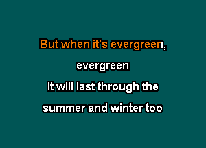 But when it's evergreen,

evergreen

It will last through the

summer and winter too