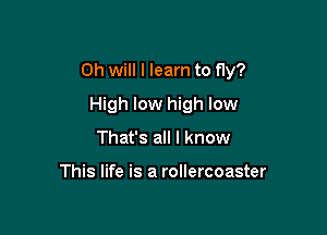 Oh will I learn to fly?

High low high low
That's all I know

This life is a rollercoaster