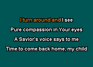 Iturn around and I see
Pure compassion in Your eyes

A Savior's voice says to me

Time to come back home, my child
