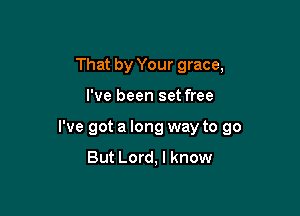 That by Your grace,

I've been set free

I've got a long way to go
But Lord, I know