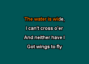 The water is wide,
I can't cross o'er

And neither have I

Got wings to fly