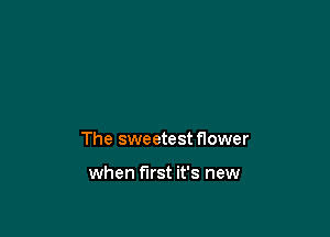 The sweetest flower

when first it's new