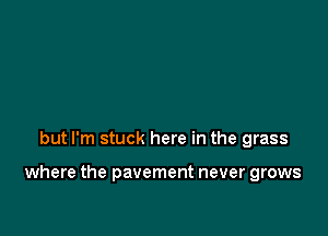 but I'm stuck here in the grass

where the pavement never grows