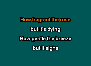 How fragrant the rose

but it's dying

How gentle the breeze

but it sighs