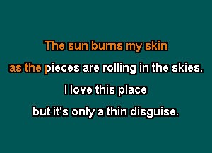 The sun burns my skin
as the pieces are rolling in the skies.

I love this place

but it's only a thin disguise.