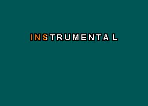 INSTRUMENTA L