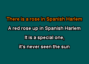 There is a rose in Spanish Harlem

A red rose up in Spanish Harlem
It is a special one,

it's never seen the sun