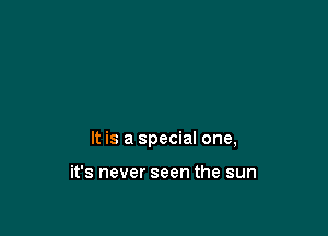 It is a special one,

it's never seen the sun
