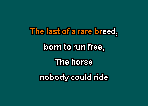 The last of a rare breed,

born to run free,
The horse

nobody could ride