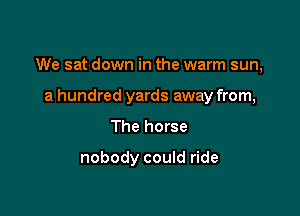 We sat down in the warm sun,

a hundred yards away from,
The horse

nobody could ride