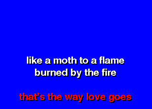 like a moth to a flame
burned by the fire