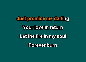 Just promise me darling

Your love in return
Let the fire in my soul

Forever burn