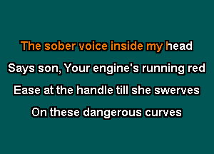 The sober voice inside my head
Says son, Your engine's running red
Ease at the handle till she swerves

On these dangerous curves