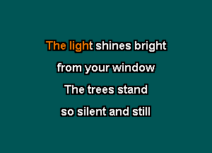 The light shines bright

from your window
The trees stand

so silent and still