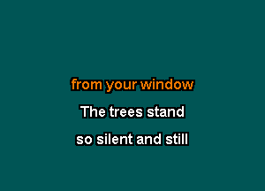 from your window

The trees stand

so silent and still