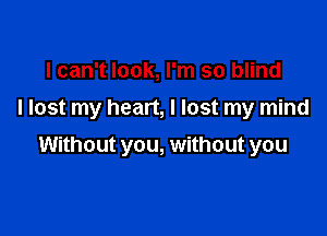 I can't look, I'm so blind

I lost my heart, I lost my mind

Without you, without you