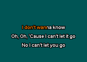 ldon't wanna know

Oh, Oh, 'Cause I can't let it go

No I can't let you go