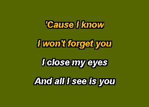 'Cause Iknow
I won't forget you

I close my eyes

And a Isee is you