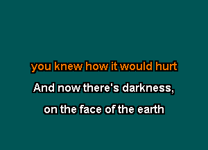 you knew how it would hurt

And now there's darkness,

on the face ofthe earth