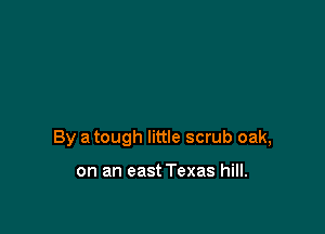By a tough little scrub oak,

on an east Texas hill.