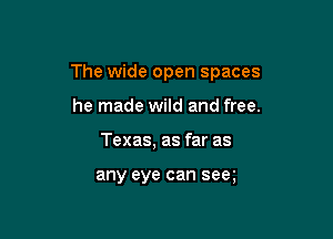 The wide open spaces

he made wild and free.
Texas, as far as

any eye can sea