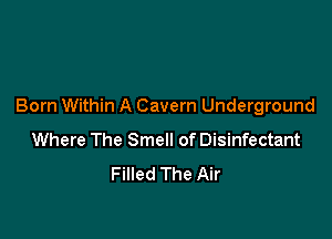 Born Within A Cavern Underground

Where The Smell of Disinfectant
Filled The Air