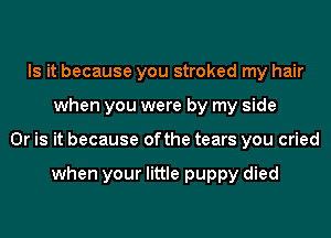 Is it because you stroked my hair
when you were by my side
Or is it because ofthe tears you cried

when your little puppy died